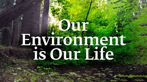 nahluwalia20's tweet photo. @SaveIndianBiod1 @AravalliBachao @moefcc @savemollemgoa @XRebellionInd @Youth4ClimateIn @ThereIsNoEarthB @NaviMumbaiWetl1 @TheRiseOfDibang @ConserveAarey @LetIndBreathe @LetMeBreathe_In @FFFIndia @PMOIndia @NHAI_Official @NDNS_HQ @HillsPune @CitizensForHyd @ForestRightsAct @indiaresists @IndiaRebellion @nitin_gadkari @joehoover60 @AdivasisMatter @thecity_webuilt As citizens trying to save our forests, wetlands, rivers, lakes, mountains from being destroyed in the name of 'progress', we do not identify ourselves as Hindus, Muslims or Christians but 'EARTHIANS' who worship nature. 

@narendramodi govt needs to stop these divisive tactics. https://t.co/qBcGwNj0Lr