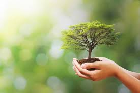 nahluwalia20's tweet photo. @SaveIndianBiod1 @AravalliBachao @moefcc @savemollemgoa @XRebellionInd @Youth4ClimateIn @ThereIsNoEarthB @NaviMumbaiWetl1 @TheRiseOfDibang @ConserveAarey @LetIndBreathe @LetMeBreathe_In @FFFIndia @PMOIndia @NHAI_Official @NDNS_HQ @HillsPune @CitizensForHyd @ForestRightsAct @indiaresists @IndiaRebellion @nitin_gadkari @joehoover60 @AdivasisMatter @thecity_webuilt As citizens trying to save our forests, wetlands, rivers, lakes, mountains from being destroyed in the name of 'progress', we do not identify ourselves as Hindus, Muslims or Christians but 'EARTHIANS' who worship nature. 

@narendramodi govt needs to stop these divisive tactics. https://t.co/qBcGwNj0Lr