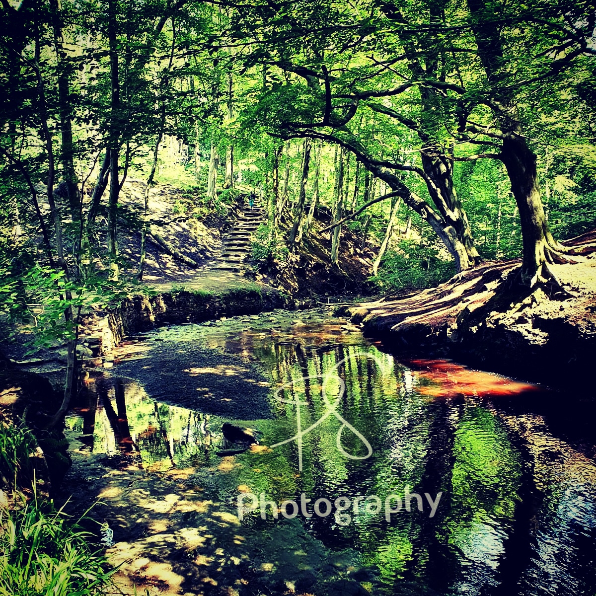 Paige Starkings tweet media