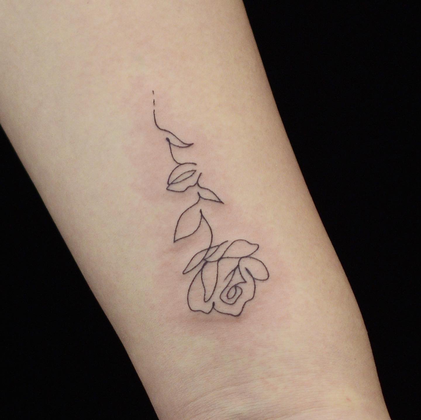 Twitter 上的 Mizuki Tattooist 一筆書きのバラのタトゥー 花びらの重なりを一筆で表現しました タトゥー 薔薇 薔薇タトゥー ワンポイントタトゥー T Co Dkuqvwufqc Twitter
