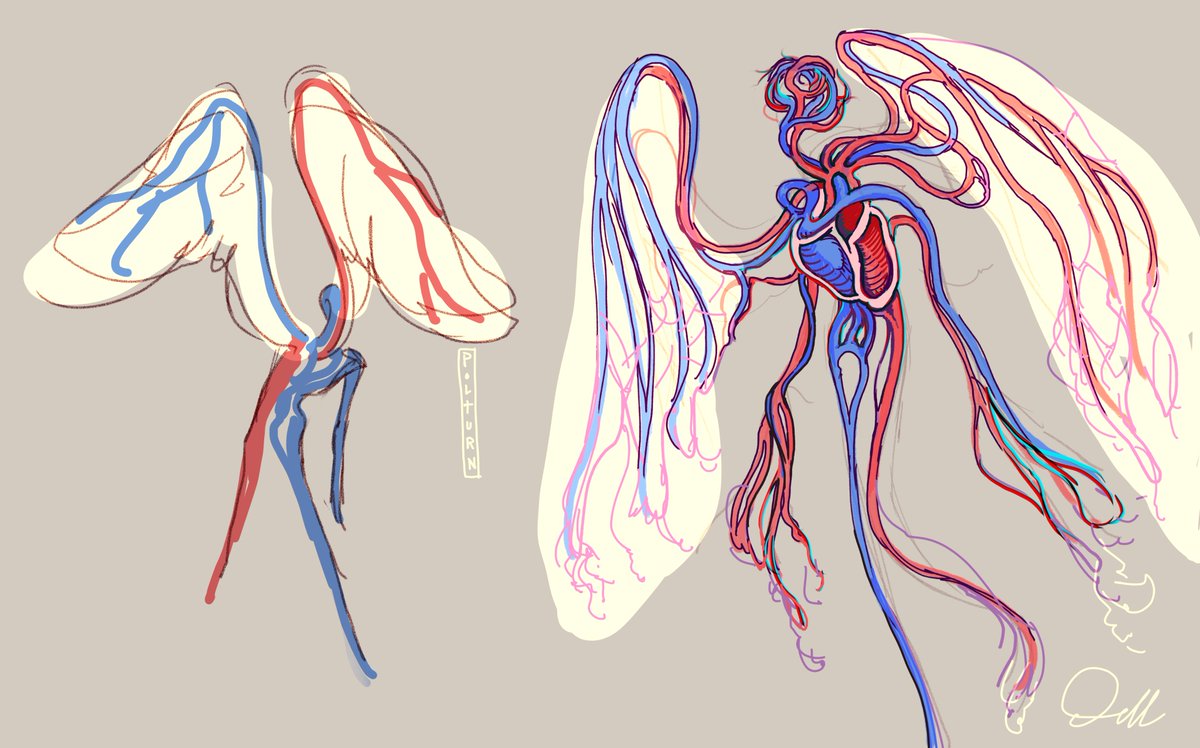 polturn's tweet photo. Cardiovascular system angel. 
#conceptart #horrorart #iguess https://t.co/uGVmDzcSHX