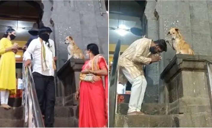 pratheeshpc's tweet image. In India it's very easy for making someone Godman...  Like that easy is to make a person like Trump hero in USA! 

A saint can be a rascal but a rascal cannot be a saint...

#Trump 
#Trumpism 
#TrumpFailedAmerica 
#TrumpImpeachment 
#USPolitics