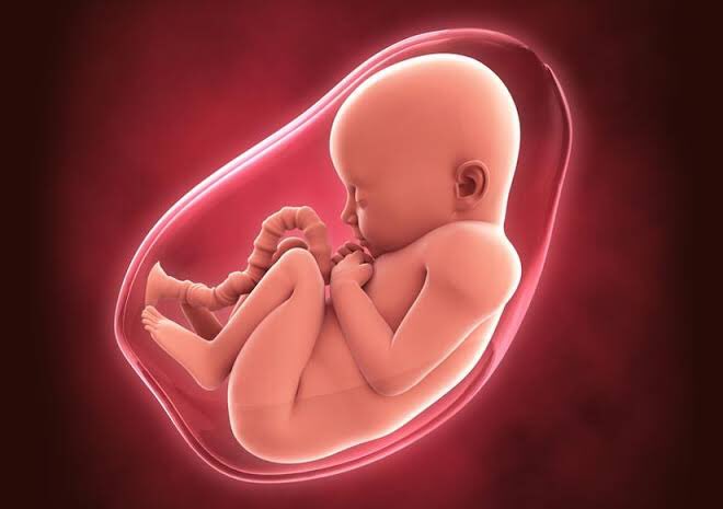 جب آپ بھاگے "تو آنکھیں، ہاتھ، پاؤں، سر نہیں تھے، پھر بھی آپ جیت گئے!جب آپ بھاگے تو آپ کے پاس سرٹیفکیٹس نہیں تھے، آپ کے پاس دماغ نہیں تھا، لیکن آپ پھر بھی جیت گئے!جب آپ بھاگے تو آپ تعلیم یافتہ نہیں تھے، کسی نے آپ کی مدد نہیں کی تھی لیکن آپ جیتے۔