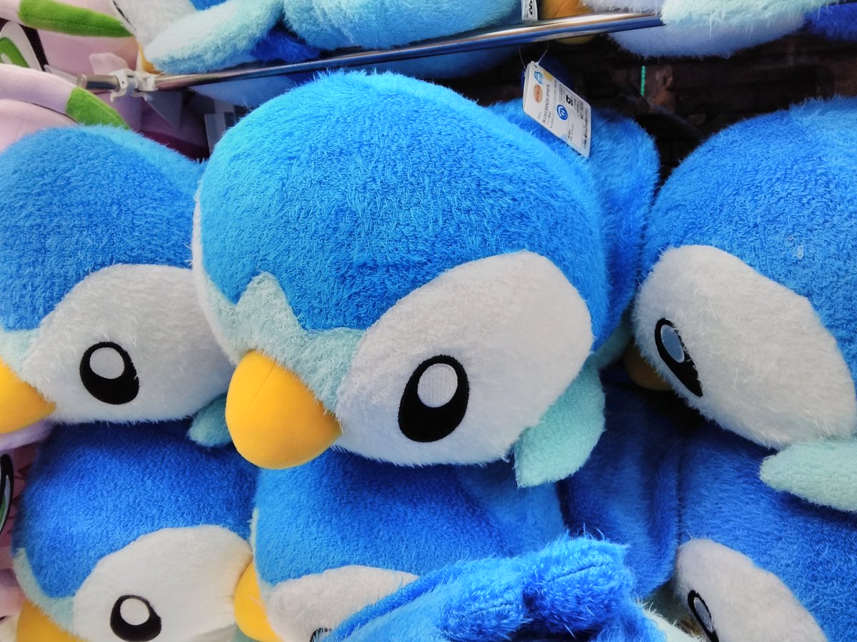 ポケモン　センター　プライズ　ポッチャマ　ぬいぐるみ　まとめ売り ErrVyLcVkAATWvN.jpg