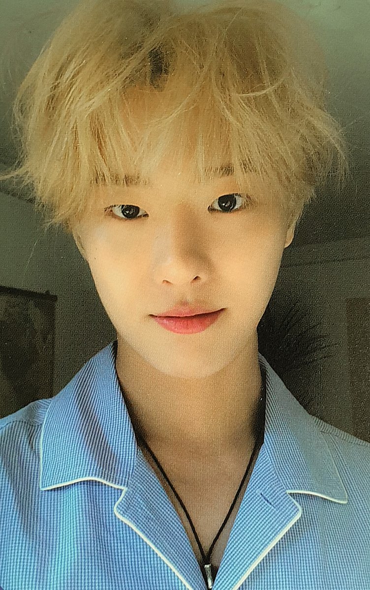악어 tweet media