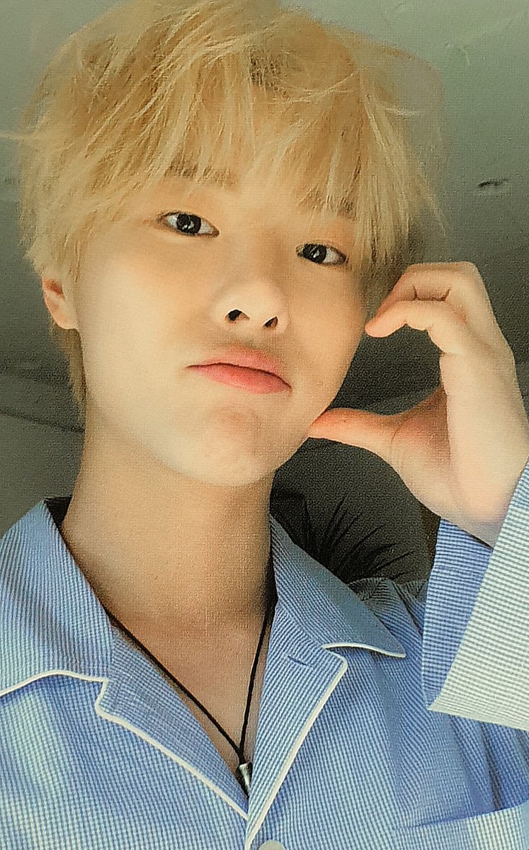 악어 tweet media