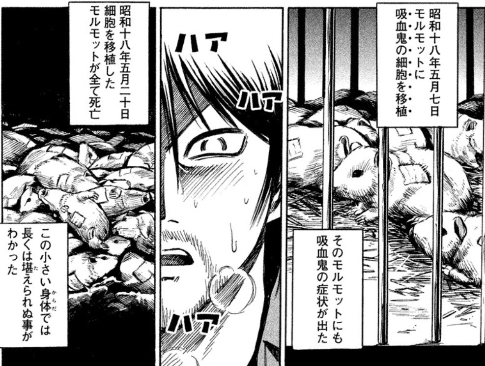 みやびさま A Twitter このアマルガムモルモット もしも混血の拒絶反応から生き延びれていればモルカー的新生物が実験室内で爆誕していたかもしれない いずれにせよ彼岸島に散ったモルモット達の英霊に黙祷