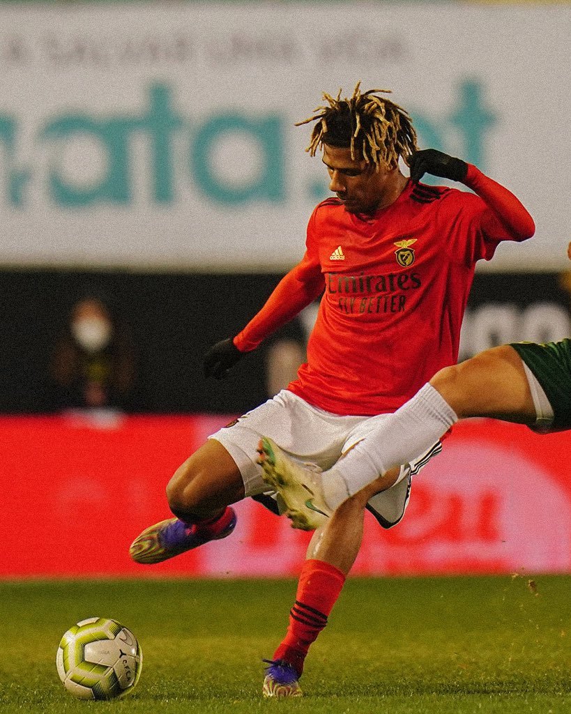 CB for me is a minefield with ageing CBs & Diop missing. It's a position which needs an injection of youth, a strong starter & versatility to play either in a 2 or 3Personally like to see 2 new players come in;MilenkovicOnguénéTodiboAlese