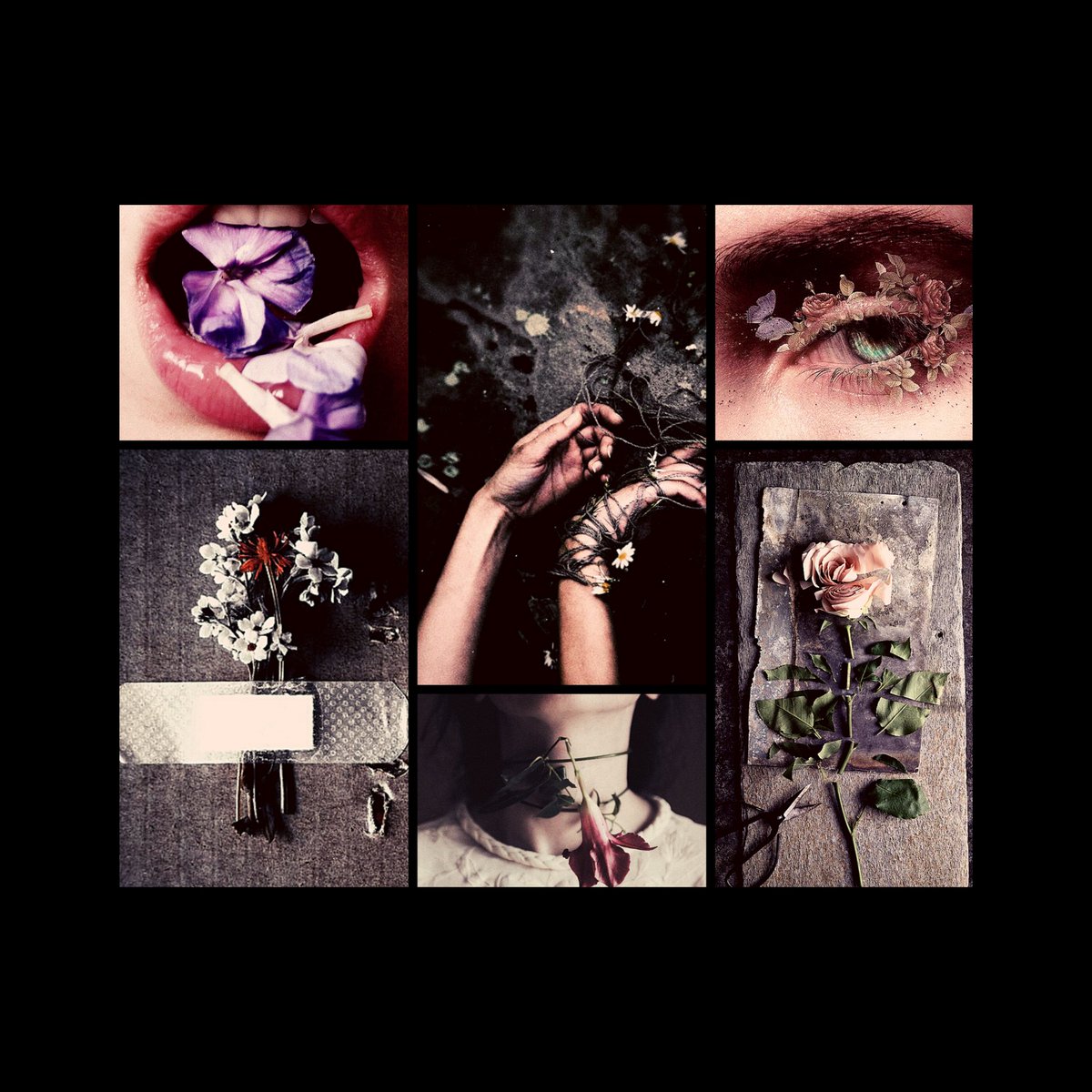 fischl_von's tweet image. 𝐇𝐀𝐍𝐀𝐇𝐀𝐊𝐈 𝐞𝐯𝐞𝐧𝐭 🥀

─❥ " 𝒚𝒐𝒖 𝒎𝒂𝒅𝒆 𝒇𝒍𝒐𝒘𝒆𝒓𝒔 𝒈𝒓𝒐𝒘 𝒊𝒏 𝒎𝒚 𝒍𝒖𝒏𝒈𝒔 𝒂𝒏𝒅, 𝒂𝒍𝒕𝒉𝒐𝒖𝒈𝒉 𝒕𝒉𝒆𝒚 𝒂𝒓𝒆 𝒃𝒆𝒂𝒖𝒕𝒊𝒇𝒖𝒍, 𝒊 𝒄𝒂𝒏𝒏𝒐𝒕 𝒃𝒓𝒆𝒂𝒕𝒉𝒆 "

ㅤ [ 𝑐𝑜𝑢𝑔ℎ𝑠 ] ✦✦✦

... 𝑓𝑎𝑡𝑒, 𝑦𝑜𝑢 𝑎𝑟𝑒 𝑠𝑢𝑐ℎ 𝑎 𝑓𝑢𝑐𝑘𝑒𝑟.
ㅤ