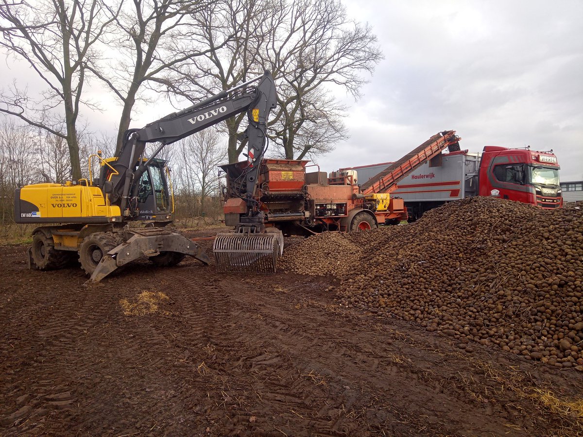 Aardappelen afleveren voor @Avebe_group