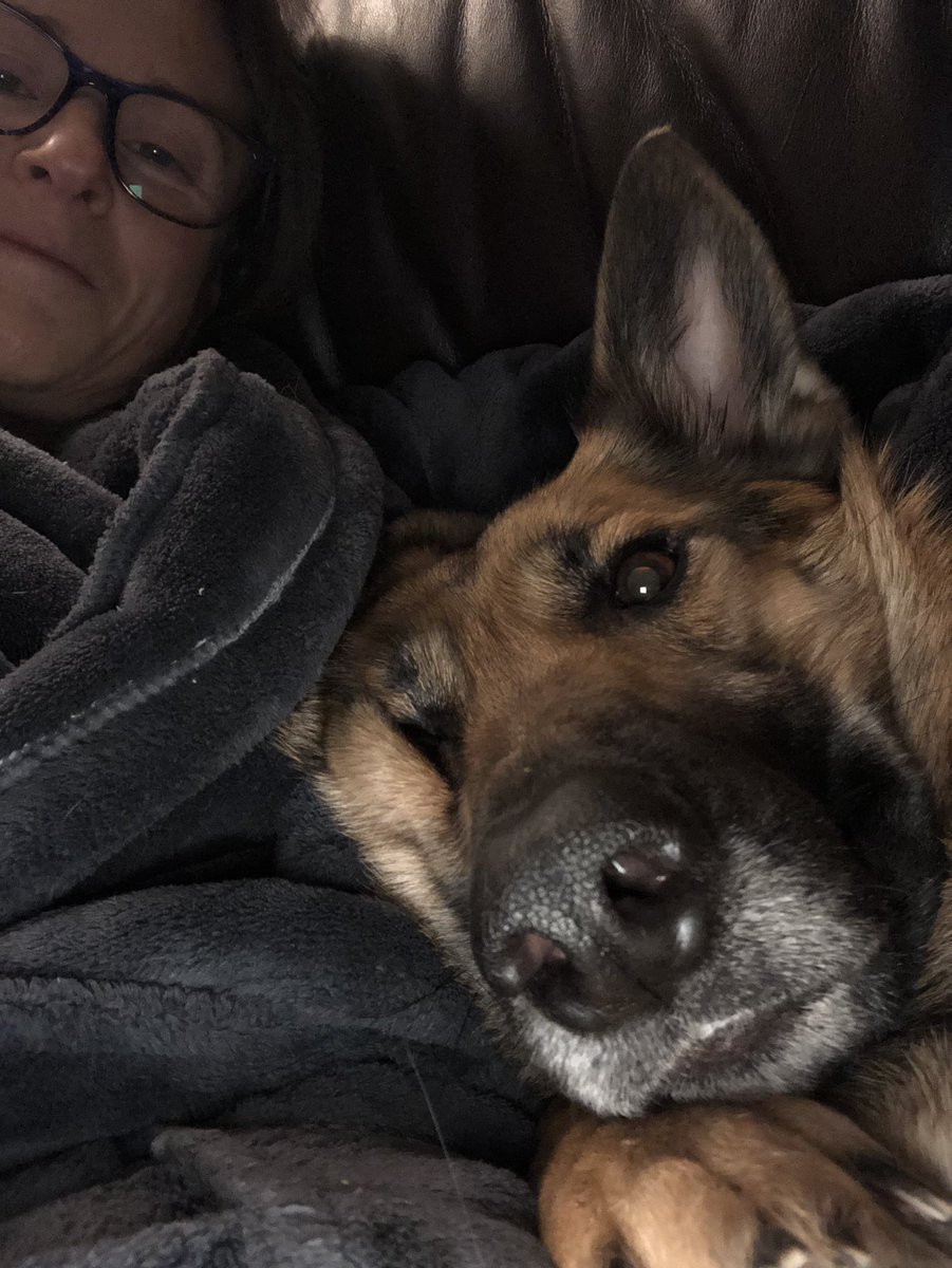 khgalea's tweet photo. #Ellbo feeling needy atm, as we all are. Even the 🐈🐈🐈🐈 keep looking for the #househippo
Lots of snuggles needed. Took these 📸 this morning
Remind you of anyone...? (you have to be born pre 1980ish to get this one...) #ALF https://t.co/4pv3BOKulz