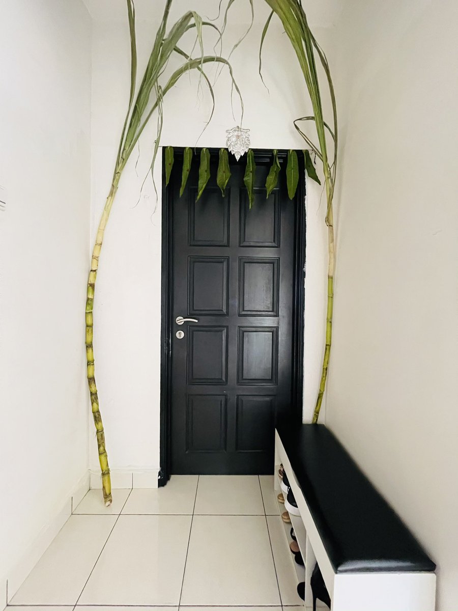 ramanigirl's tweet photo. Happy Pongal 2021
May the sweetness of overflowing milk &amp; sugar cane fill your home with harmony and happiness. I pray the almighty bless you all with the best of health, wealth &amp; prosperity. https://t.co/KInFgjXB7e