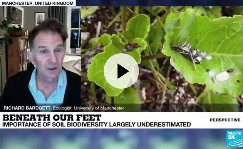 SoilEcolUoM's tweet photo. Richard Bardgett was interviewed live by France24 to address the importance of soils, the issue of soil degradation and what we can ask policymakers and individuals to do about it. Take a look! https://t.co/dr297Fig4u #soils #ecology https://t.co/RXFlxLW3pO