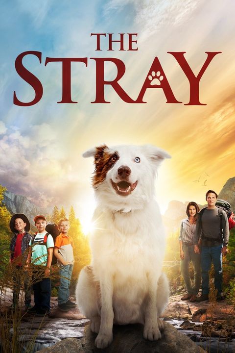 Angels in the snow  Vs  The Stray