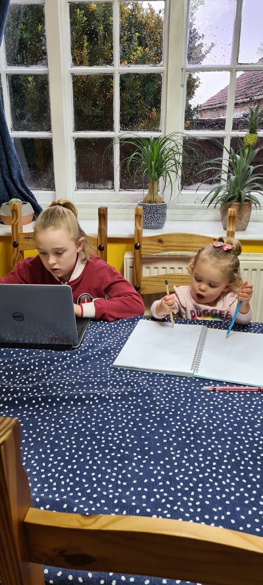 goodwin_donna's tweet photo. @AlbertPyeRavens Flora is helping Lola with her school work today. https://t.co/N3fDtK8vON