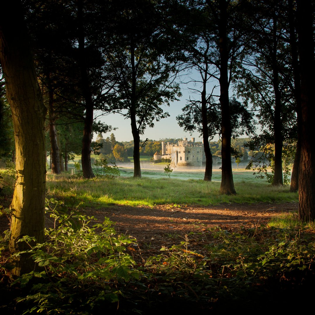VisitKent's tweet photo. For when another walk around the block just won't do, we've rounded up a list of our favourite gardens that are remaining open to welcome local visitors on their daily wanders. 🚶 👣 https://t.co/fV9VFNaGKj https://t.co/RubFktfDt0
