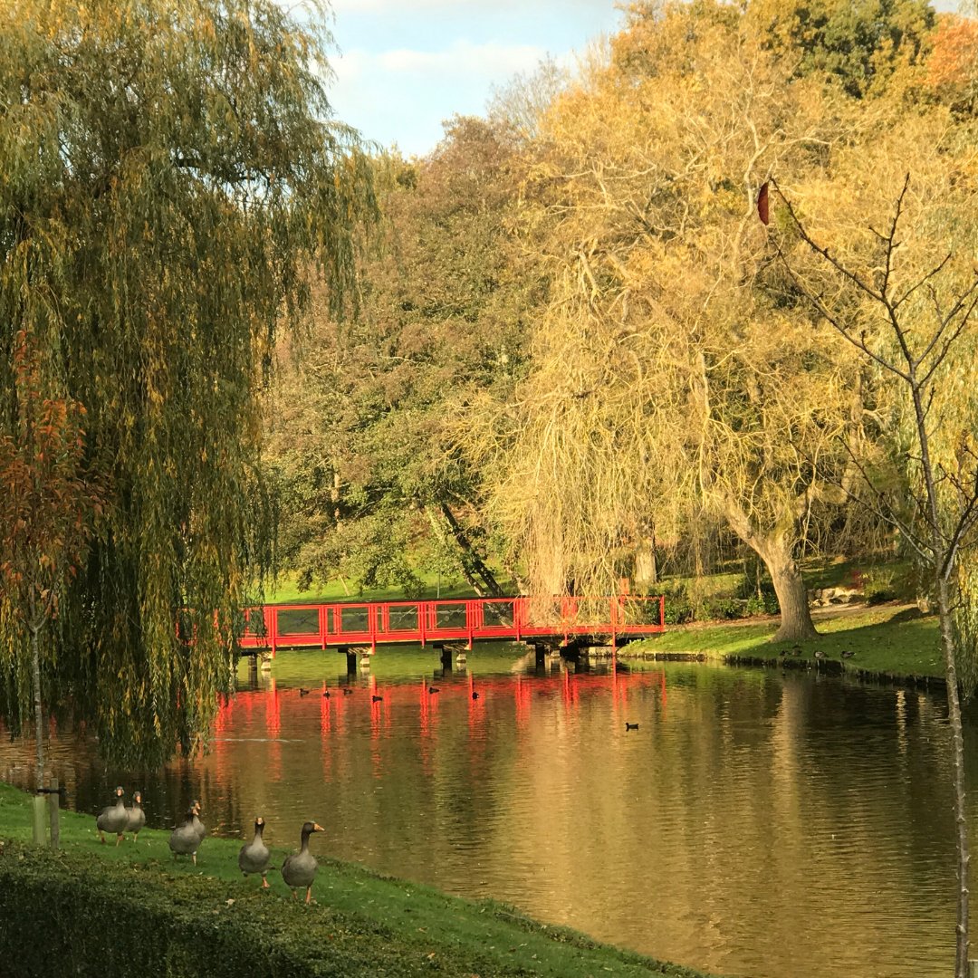 VisitKent's tweet photo. For when another walk around the block just won't do, we've rounded up a list of our favourite gardens that are remaining open to welcome local visitors on their daily wanders. 🚶 👣 https://t.co/fV9VFNaGKj https://t.co/RubFktfDt0
