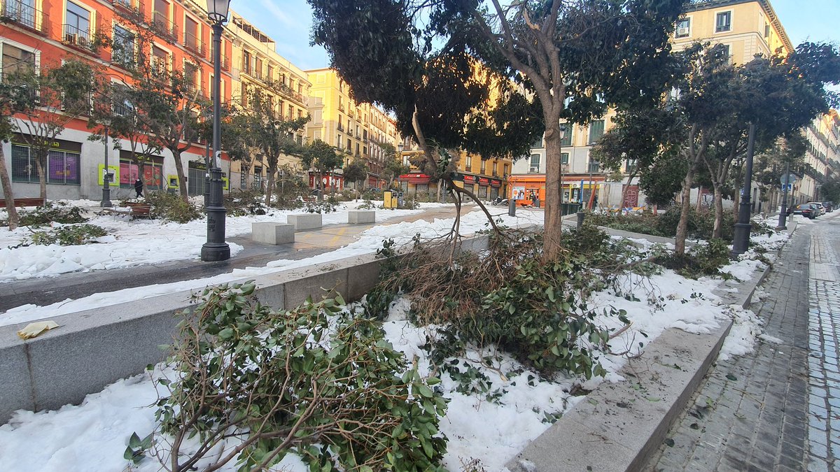 chemadp's tweet photo. Ayuso y Almeida tienen los barrios así cinco días después de la nevada. Nunca #Madrid tuvo esta sensación de abandono, la administración municipal y regional no existen en muchas zonas de la ciudad. Solo existe el trabajo voluntario de limpieza de los vecinos. Estamos solos... https://t.co/rN9p2guraZ