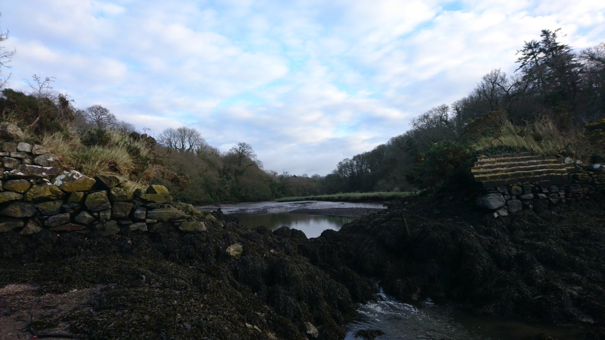 Faithlegg Pill, looking up river. You cross this pill at the "bumps" after the long straight stretch coming from Faithlegg towards the city