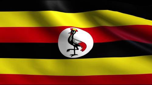 JULIANA KANYOMOZI tweet media