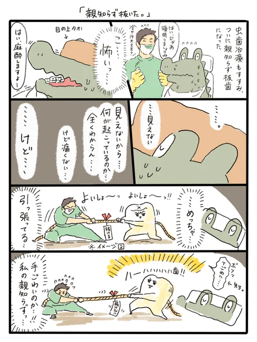 親知らず抜歯したっていう漫画です…。
いただいた歯は、どうすれば… 