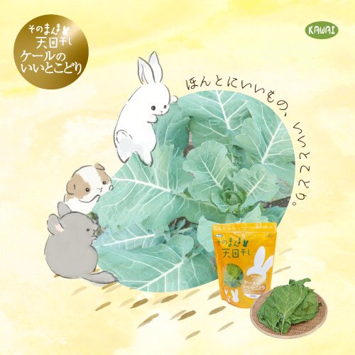 株式会社kawai そのまんま天日干し ケールのいいとこどり もうお試しになりましたか 冬取りケールは甘く濃縮された味わいです オリジナルイラストはコンパニオンアニマルさんたちが勢ぞろい 最近話題のモルモットさんにもおすすめの商品ですよ