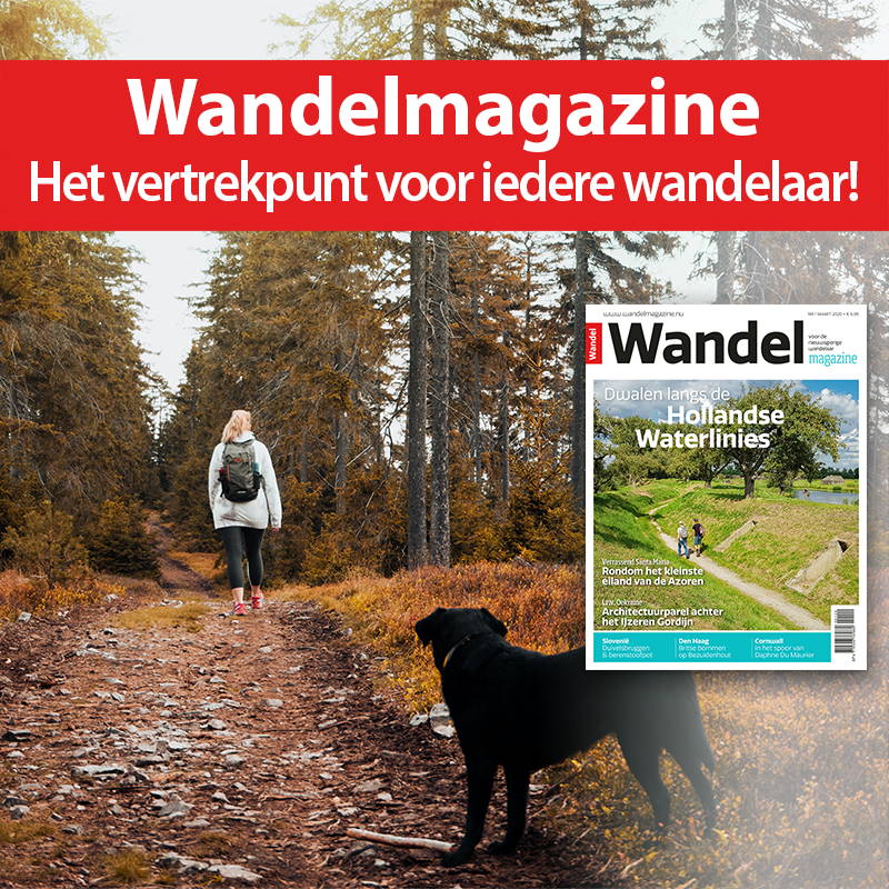 Wandelmagazine's tweet photo. Wandelmagazine: Het vertrekpunt voor iedere wandelaar! 🥾

Profiteer nu van de tijdelijke aanbieding - eerste jaar Wandelmagazine (4 nummers) + cadeau(s) vanaf slechts €16,95!

Klik op de link hieronder voor meer informatie.