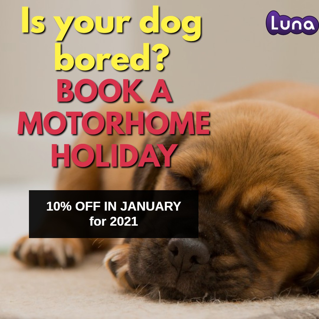 🐶🐶Is your dog bored?🐶🐶 🐕🐕BOOK A MOTORHOME HOLIDAY🐕🐕 🔥🔥 DEALS WITH 10% OFF🔥🔥 OUCH!!!! THAT'S HOT! 👉👉👉 lunamotorhomehire.co.uk #ukholiday #staycation #2021 #motorhomehire #holiday #vacation