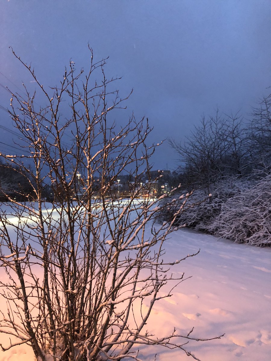 Daniel Holm (@dalhom) on Twitter photo 