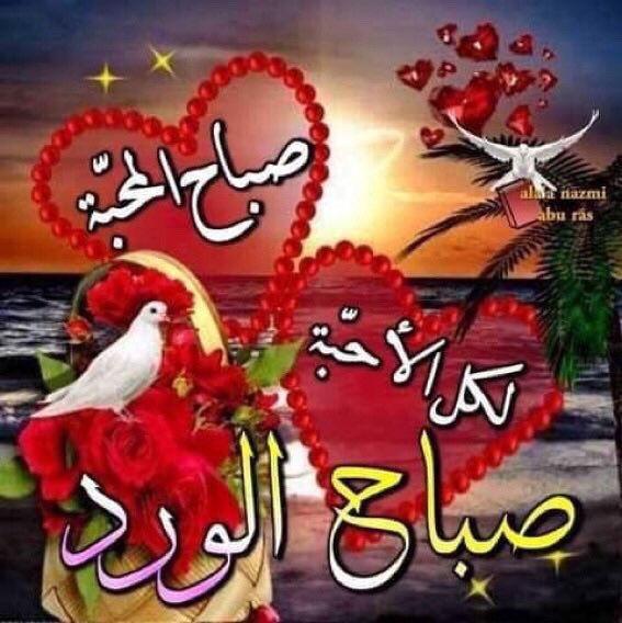 صباح الورد والياسمين
