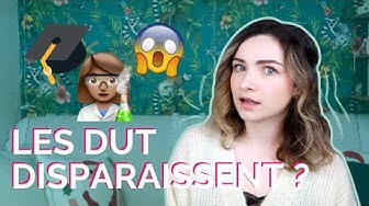 [Bachelor Universitaire de Technologie 🎓]

Vous vous posez des questions sur l'IUT et le B.U.T. ? 
Claire de #BrightFuture vous éclaire sur le nouveau diplôme des IUT !

▶️ Regardez sa vidéo ici :  youtu.be/NYt_ax9f7wY

#parcoursup2021
#lesIUTversleBUT