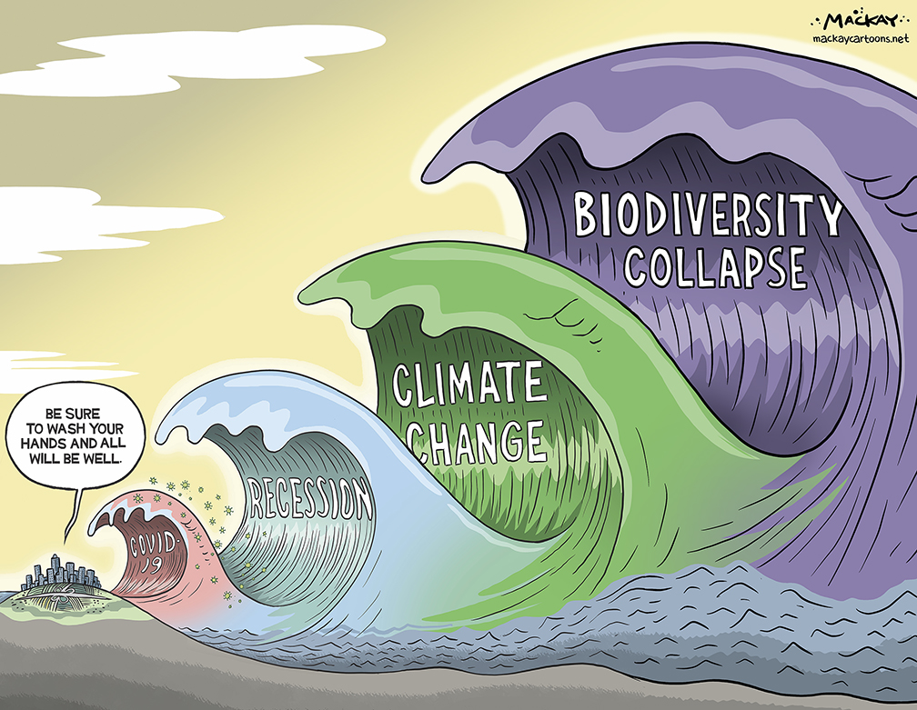 Climate: Lesson learnt? The pandemic showed how vulnerable we are, also that change is possible. All eyes on the COP in Glasgow, the promises made by Biden, China 2060 goals, the green recovery in the EU and also the impact of regulations (plastics) and technology (hydrogen)