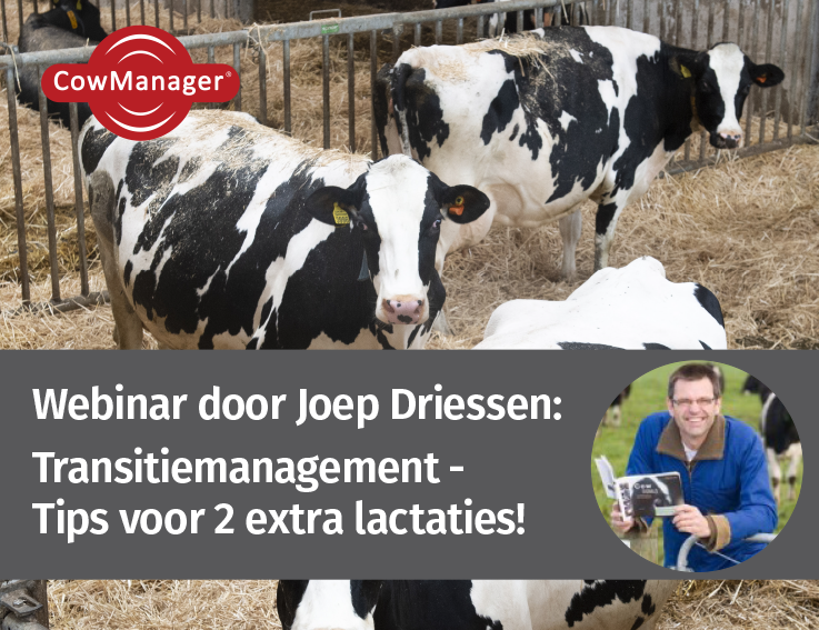Bijna 80% van alle gezondheidsproblemen bij melkkoeien ontstaan in de transitieperiode. Joep Driessen deelt daarom praktische preventietips in deze gratis webinar! 

De webinar Transitiemanagement vindt plaats op 19 januari om 20 uur. Meld je aan via
cowmanager.clickmeeting.com/transitiemanag…