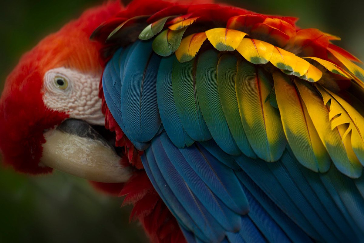 Want to do something productive in lockdown that will benefit you when the time to #travel comes ?
Our wonderful #Ecuadorian rep Monika is a qualified #teacher of #Spanish and for many years she has been helping #volunteers to improve their Spanish abilities. GET IN CONTACT TODAY