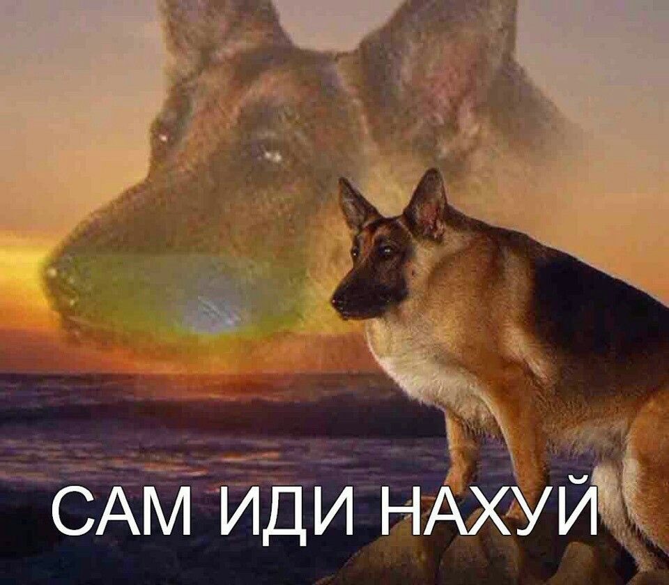 ntngel1's tweet photo. @trccster @notoxicbro @Devastated_mind https://t.co/C2CV7XKjte