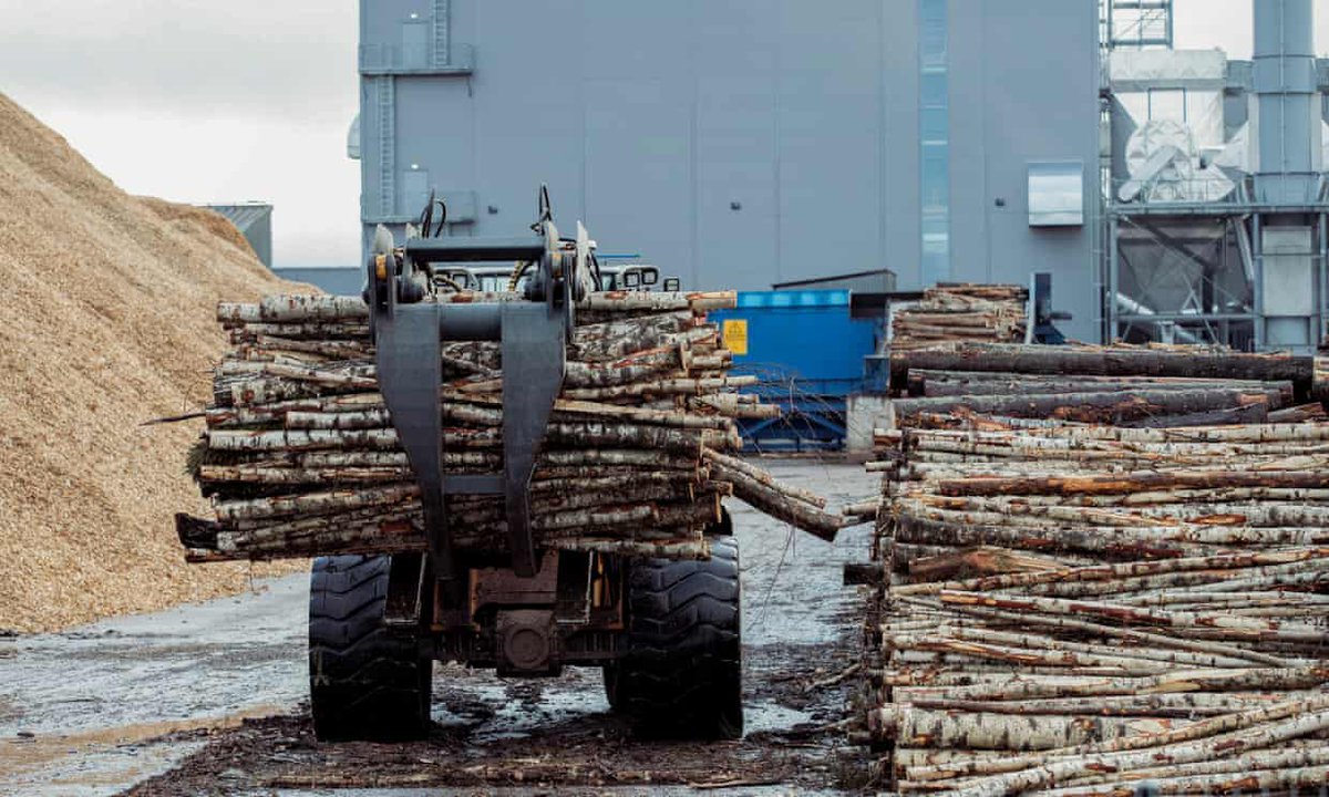 Our work has already been cited in parliamentary debates in Estonia and the Netherlands and at EC meetings by politicians and campaigners who say we simply don’t have time to burn trees – like these ones we saw at an Estonian pellet factory – if we are going to meet climate goals