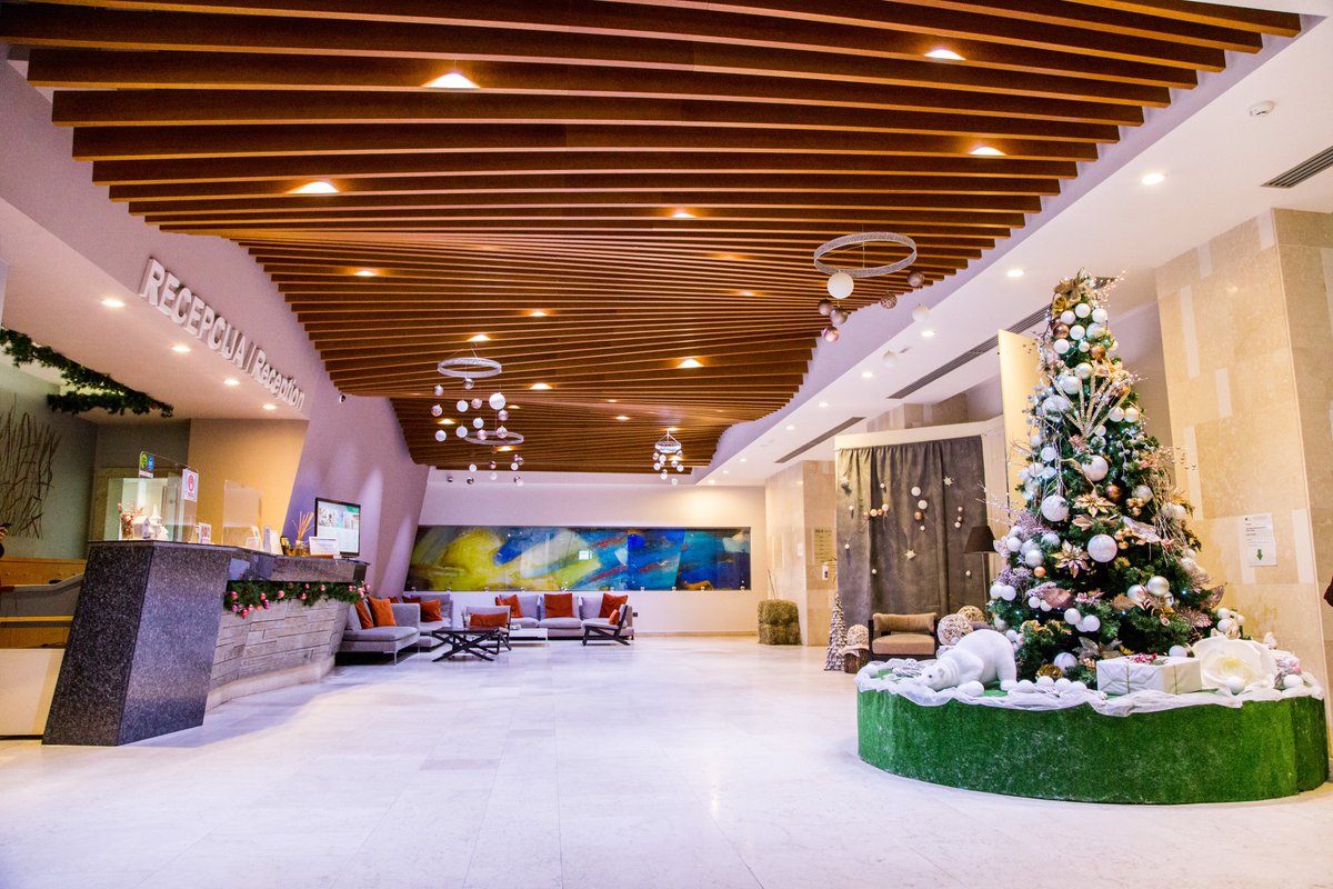 MONAhotel's tweet photo. Srećna srpska Nova godina! 🎄⭐️ https://t.co/y1yBSjNrZS