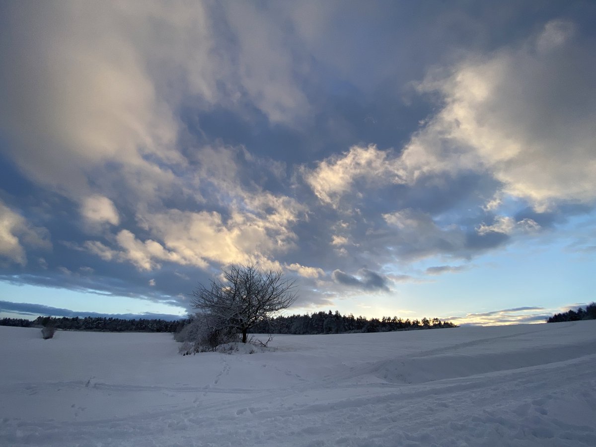 rombach_martin's tweet photo. @ljosmodirin Hier auch und so coole Beleuchtung gestern! ❄️🤩🤩 https://t.co/xKCMC4MY5j
