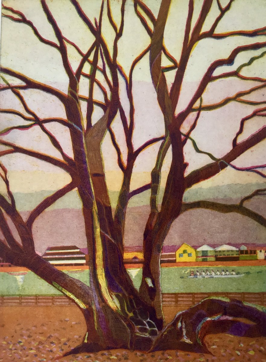 A Winter tree on this wet day. The Holm Oak in Bishops Park. # etching # Printmaking # Oak # tree #river #thames <a href="/BishopsParkSW6/">FriendsofBishopsPark</a>