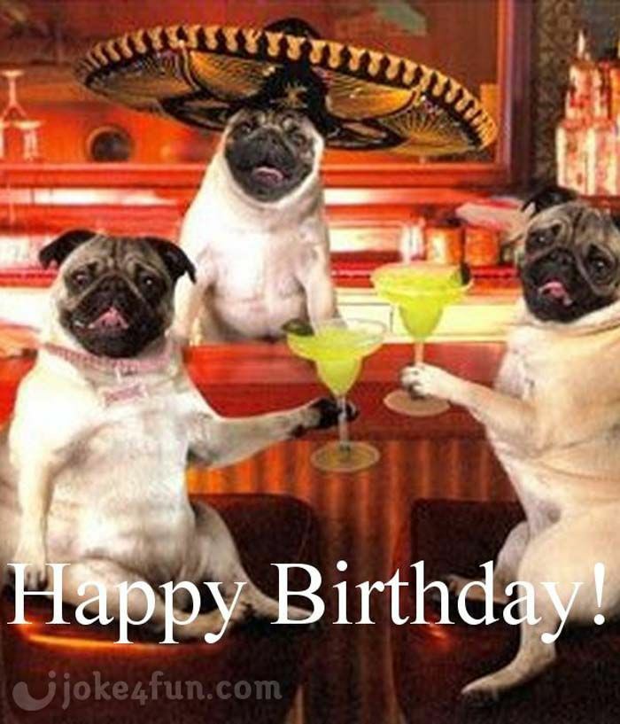   Happy lockdown birthday Nikki x 