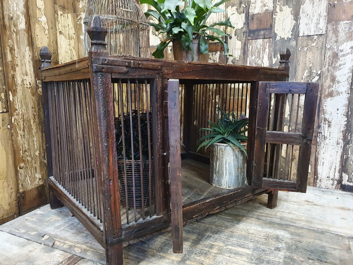 Antique animal carrier - super cool coffee table/display case all in one 
#coffeetable #display #rusticstyle #lounge #hanselandgretel #eclectichome #focalpiece #table #interiorinspo #homedesign #homerevamp 
ow.ly/W37R50D7zWH