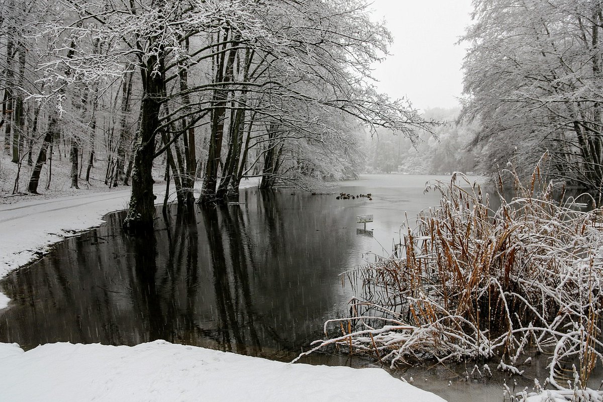 Heute am Morgen am Burbacher Waldweiher in Saarbrücken. Wie sieht es denn bei Euch aus? #schnee #Saarland #winter