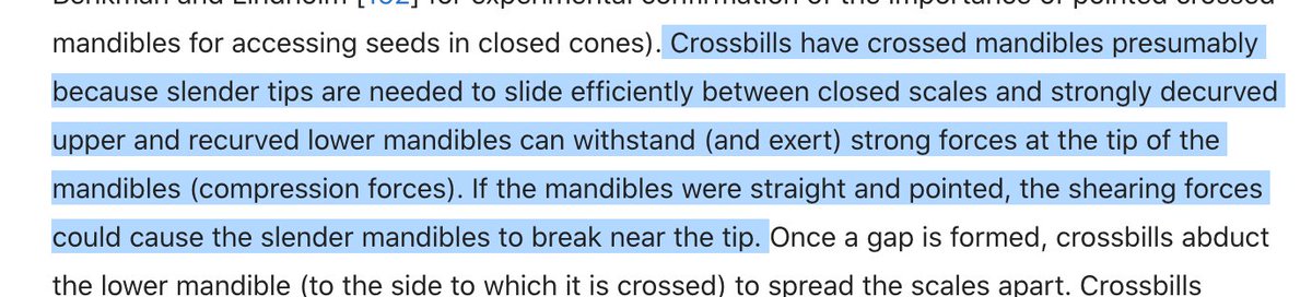 also, if you weren't satisfied with the crossing answer, here's a more technical explanation from Birds of the World: