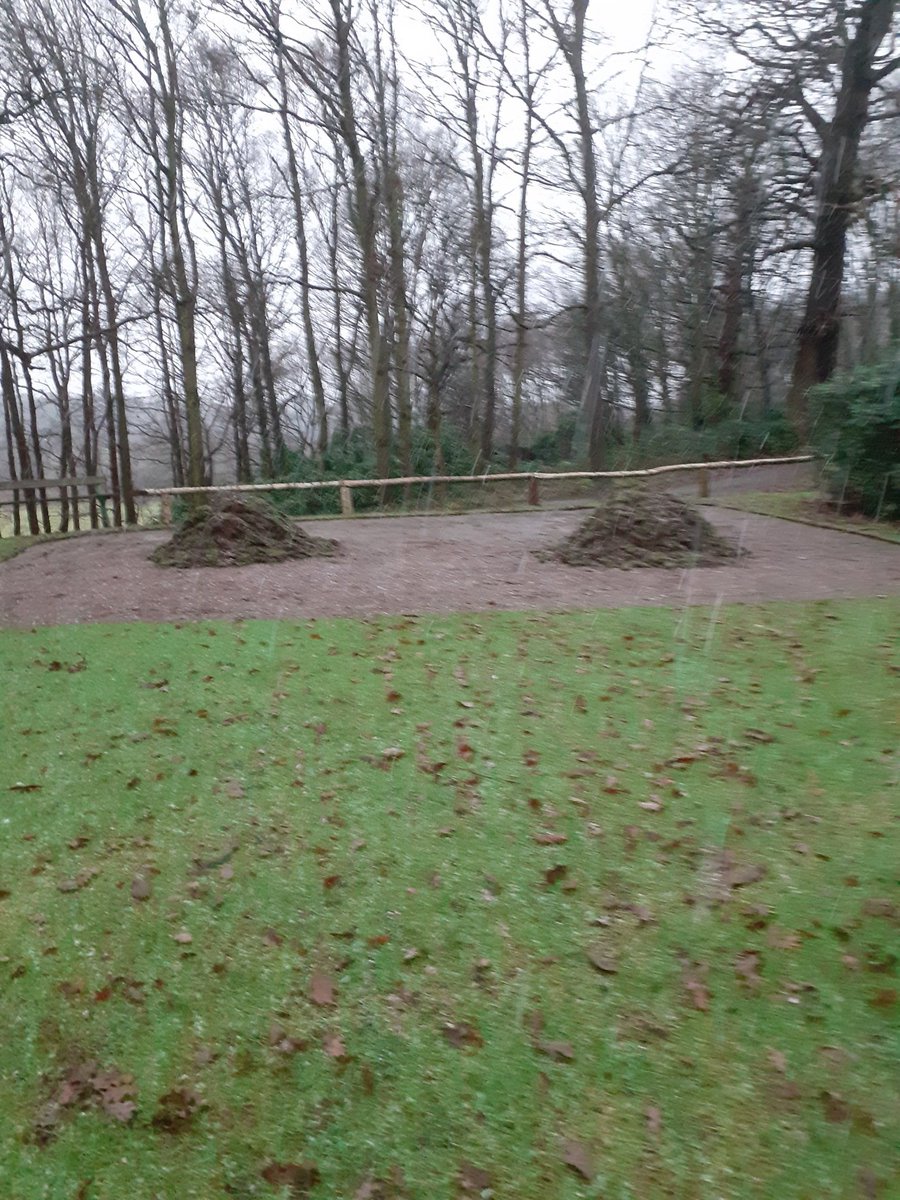 GreensRetford's tweet photo. Making a start to lift turf on some tees https://t.co/aChV749A5R