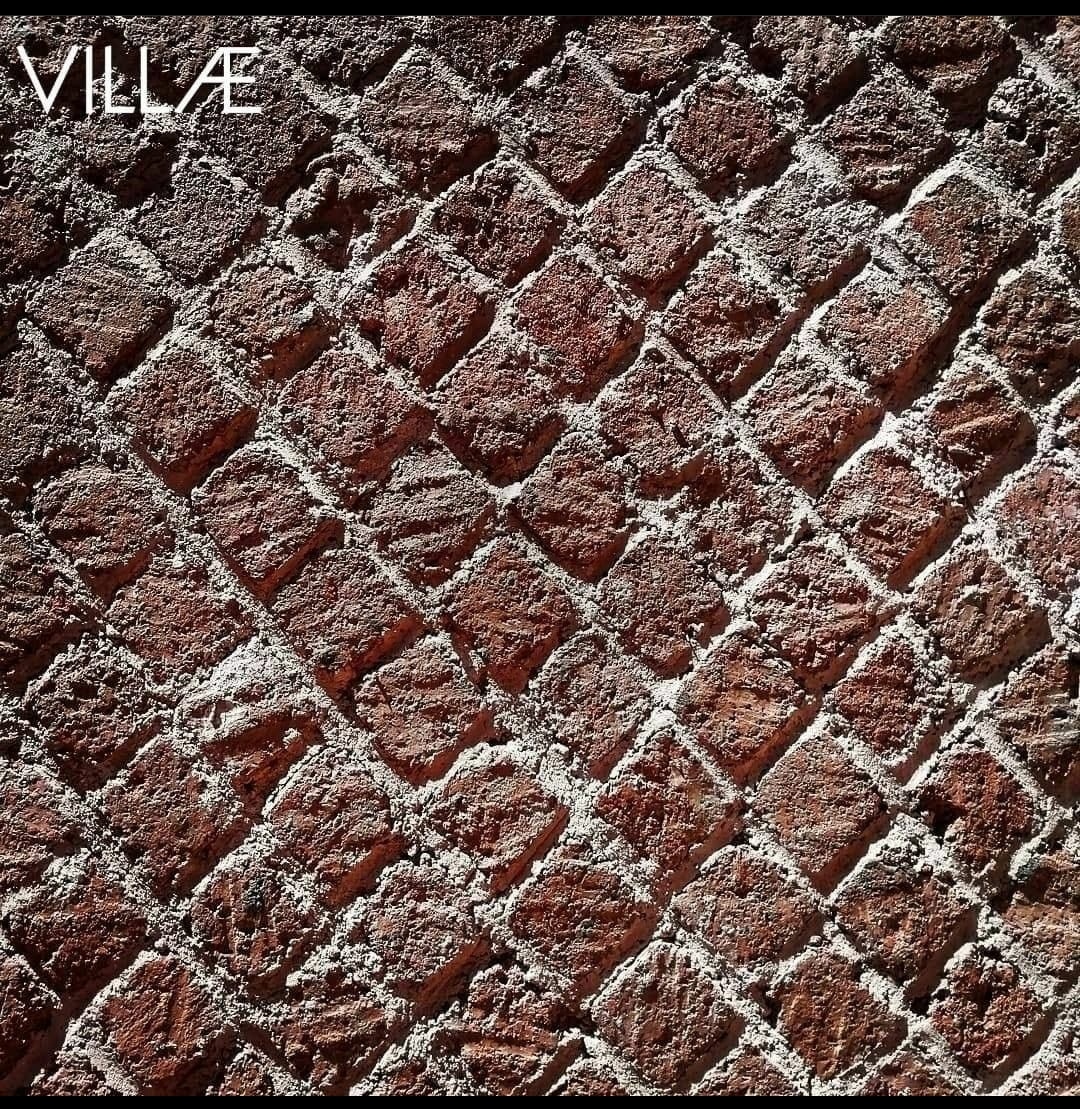 maiteximenez's tweet photo. VIS UNITA FORTIOR.
La fuerza unida es más fuerte.
#VillaAdriana
#Tivoli
#sententiae
(Vía IG @villaadrianamibac) https://t.co/QMYE83I7FS