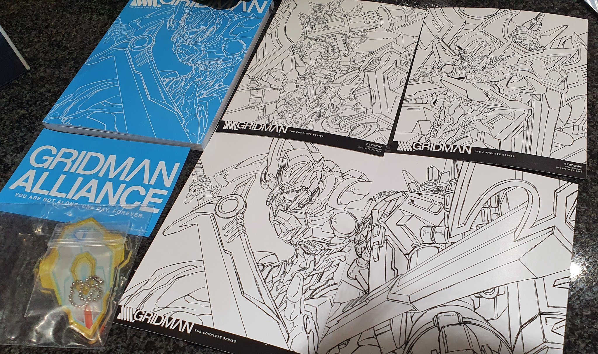 『SSSS. GRIDMAN』 STARTER BOOK SSSS. Gridman & SSSS. Dynazenon Daikaibou Guide Book Anime