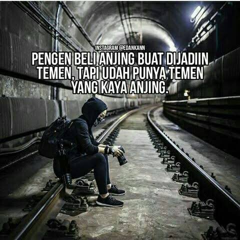 adrianLH's tweet photo. Untung yg kaya anjingnya temen https://t.co/FkjIBo73mg