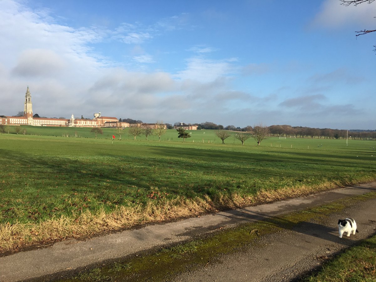 When your cat decides to join you for a lockdown walk around <a href="/RHSSuffolk/">Royal Hospital School</a>... 🐈🐾🍃  #partofrhs #petsofrhs #lockdownwalk