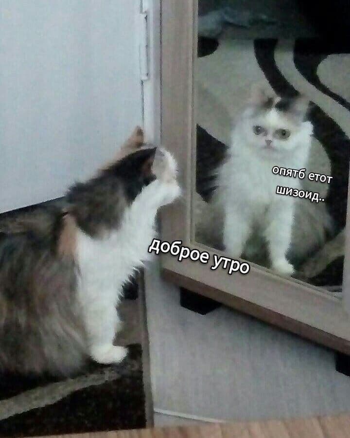 Ers75D6VcAMrtjJ?format=jpg&name=900x900