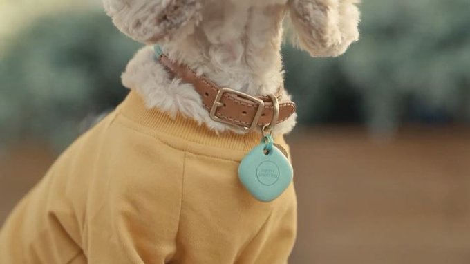 A product to help find lost puppies just warmed my heart.  Galaxy SmartTag #GalaxyUnpacked https://t<a href="/tag/galaxyunpacked"class="tags"><span>#galaxyunpacked</span></a>